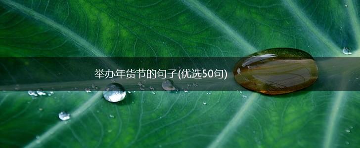 举办年货节的句子(优选50句),第1张