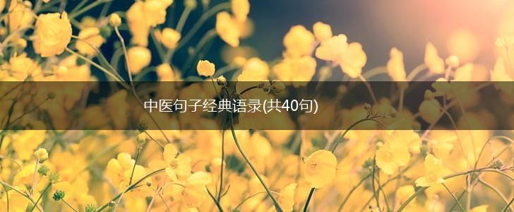 中医句子经典语录(共40句),第1张