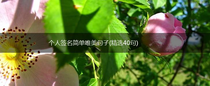 个人签名简单唯美句子(精选40句),第1张