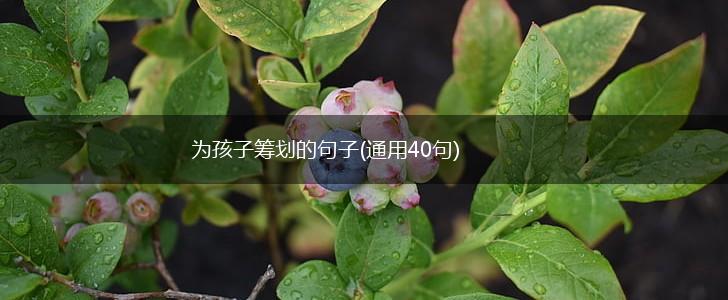 为孩子筹划的句子(通用40句),第1张
