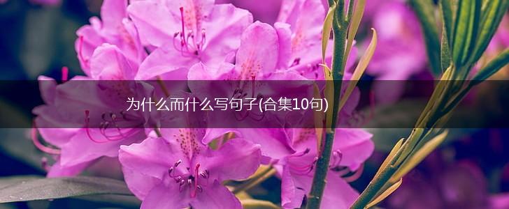 为什么而什么写句子(合集10句),第1张