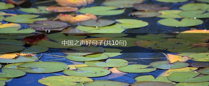 中国之声好句子(共10句),第1张