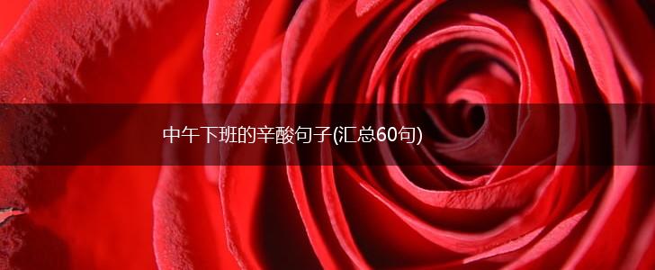 中午下班的辛酸句子(汇总60句),第1张