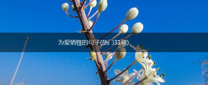 为爱牺牲的句子(热门31句),第1张