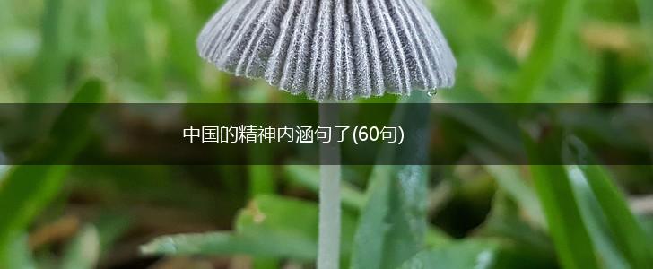 中国的精神内涵句子(60句),第1张