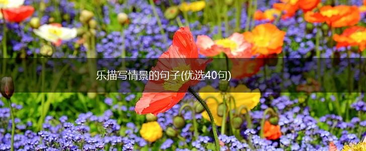 乐描写情景的句子(优选40句),第1张