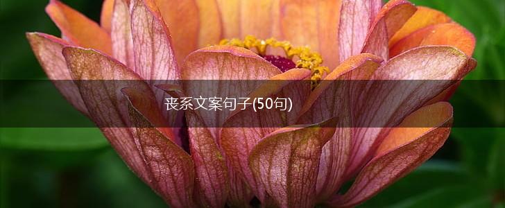 丧系文案句子(50句),第1张