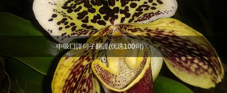 中级口译句子翻译(优选100句),第1张