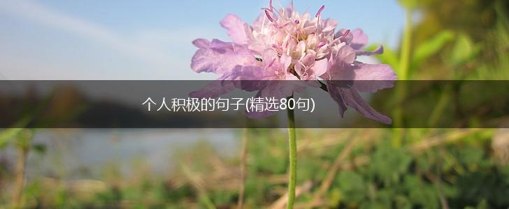 个人积极的句子(精选80句),第1张