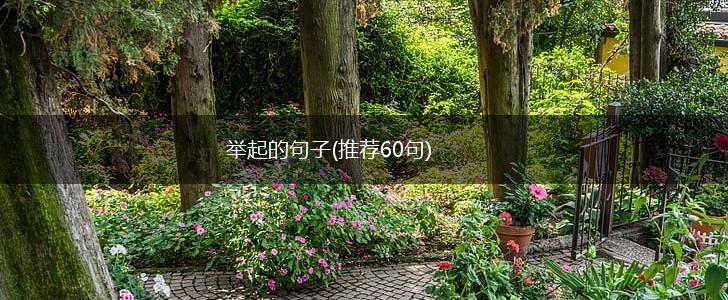 举起的句子(推荐60句),第1张