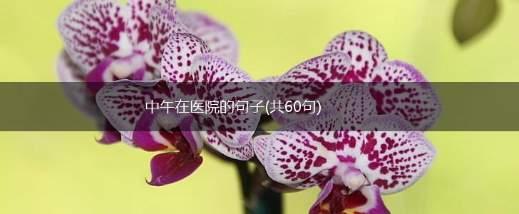 中午在医院的句子(共60句),第1张