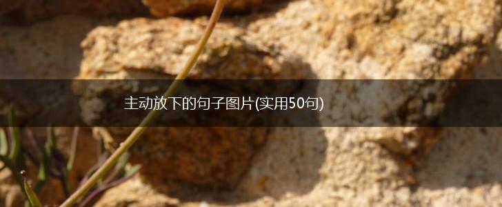 主动放下的句子图片(实用50句),第1张