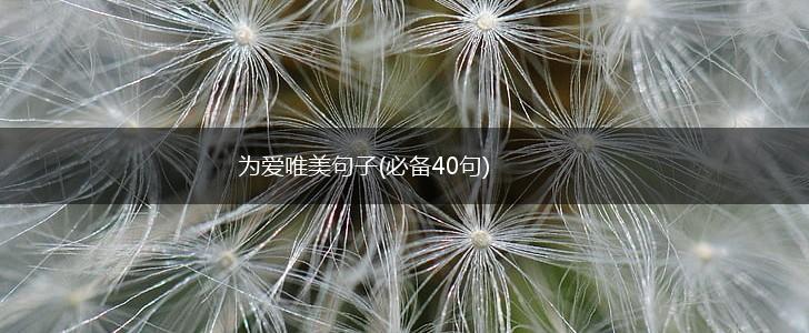 为爱唯美句子(必备40句),第1张