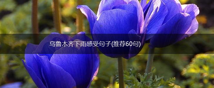 乌鲁木齐下雨感受句子(推荐60句),第1张