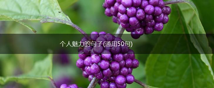 个人魅力的句子(通用50句),第1张