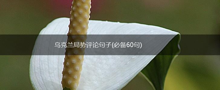 乌克兰局势评论句子(必备60句),第1张