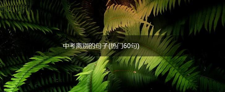 中考离别的句子(热门60句),第1张