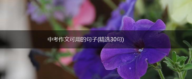 中考作文可用的句子(精选30句),第1张