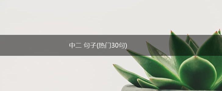中二 句子(热门30句),第1张