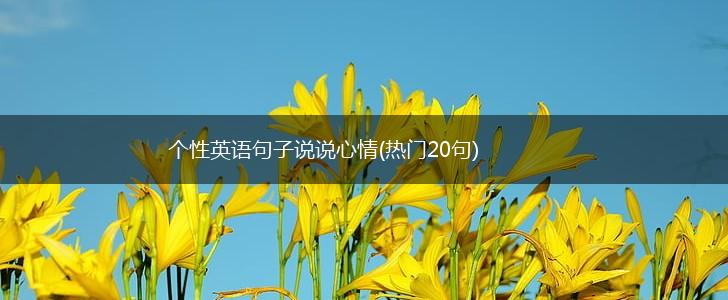 个性英语句子说说心情(热门20句),第1张