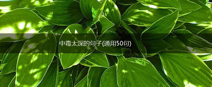 中毒太深的句子(通用50句),第1张
