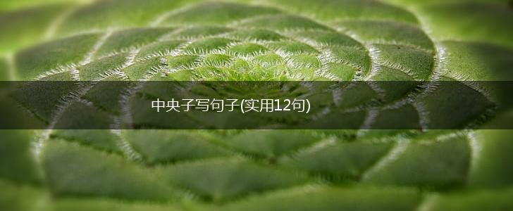 中央子写句子(实用12句),第1张