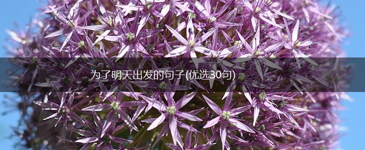 为了明天出发的句子(优选30句),第1张