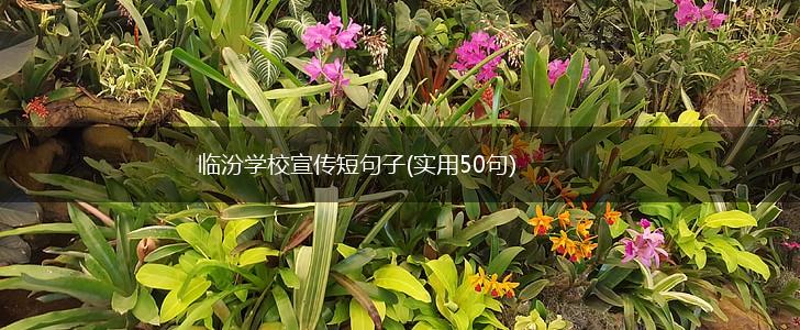 临汾学校宣传短句子(实用50句),第1张