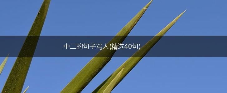 中二的句子骂人(精选40句),第1张