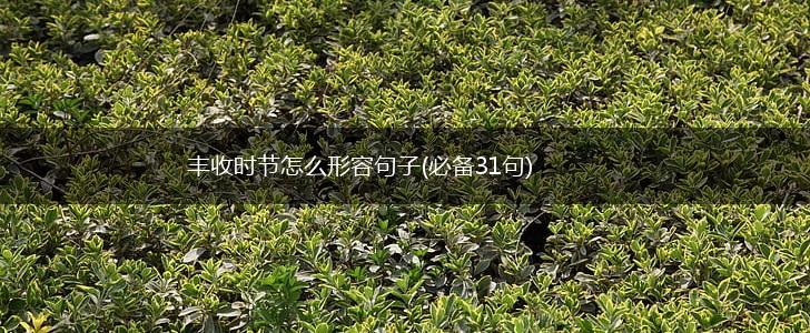 丰收时节怎么形容句子(必备31句),第1张