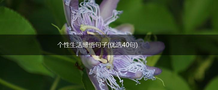 个性生活感悟句子(优选40句),第1张
