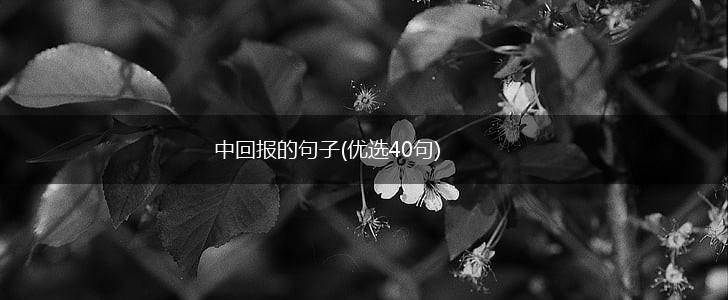 中回报的句子(优选40句),第1张