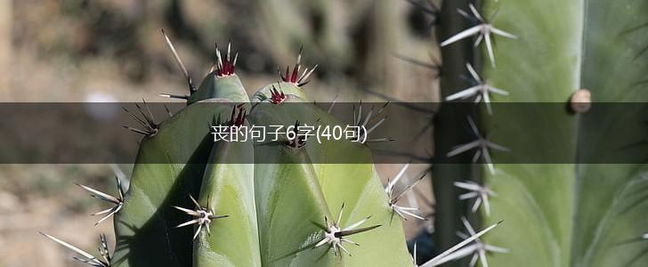 丧的句子6字(40句),第1张