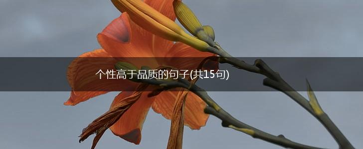 个性高于品质的句子(共15句),第1张