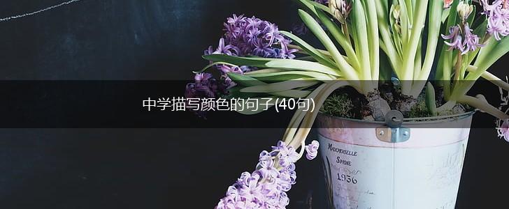 中学描写颜色的句子(40句),第1张