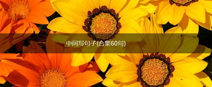 中间写句子(合集60句),第1张