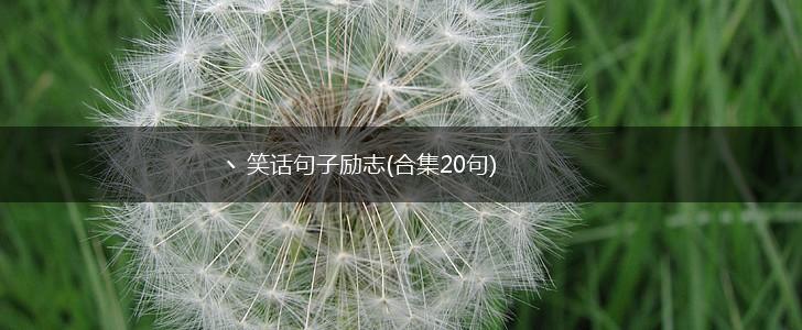 丶笑话句子励志(合集20句),第1张