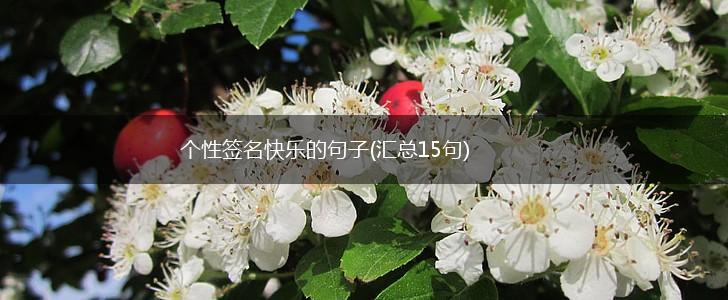 个性签名快乐的句子(汇总15句),第1张