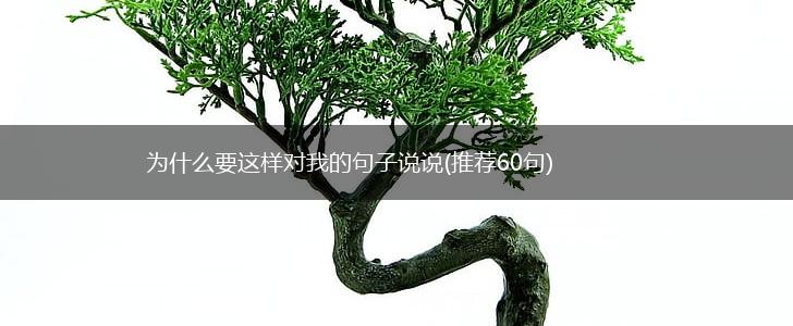 为什么要这样对我的句子说说(推荐60句),第1张