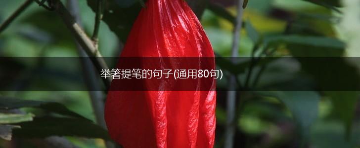 举箸提笔的句子(通用80句),第1张