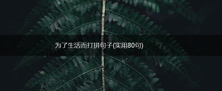 为了生活而打拼句子(实用80句),第1张