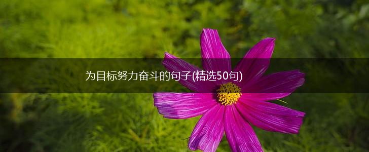 为目标努力奋斗的句子(精选50句),第1张