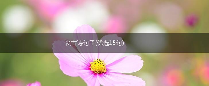 丧古诗句子(优选15句),第1张