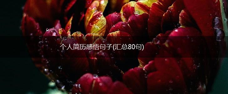 个人简历感悟句子(汇总80句),第1张