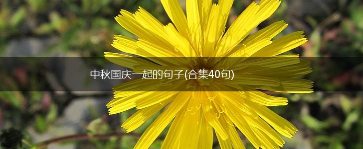 中秋国庆一起的句子(合集40句),第1张