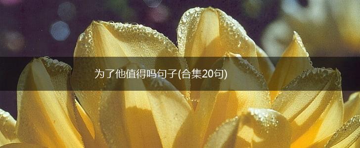 为了他值得吗句子(合集20句),第1张