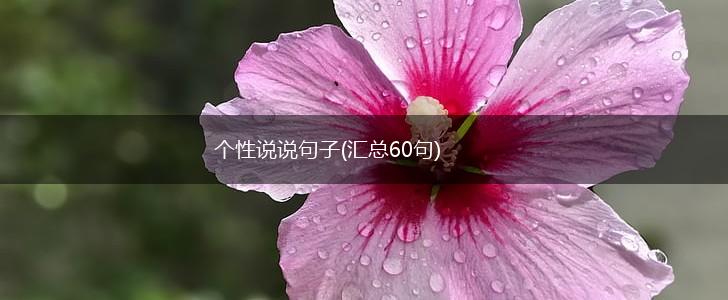 个性说说句子(汇总60句),第1张