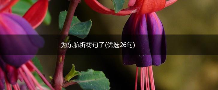为东航祈祷句子(优选26句),第1张