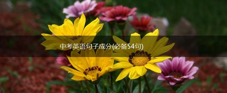 中考英语句子成分(必备54句),第1张