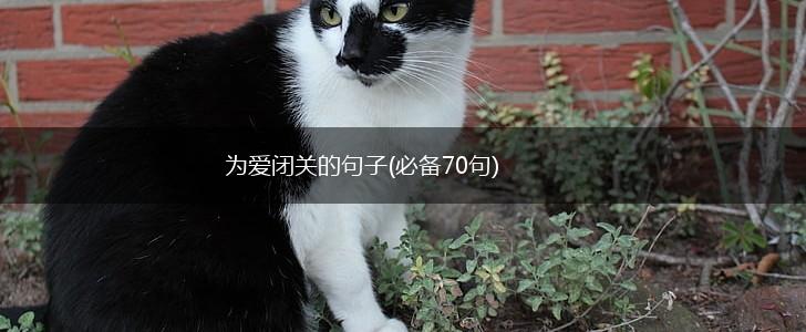 为爱闭关的句子(必备70句),第1张